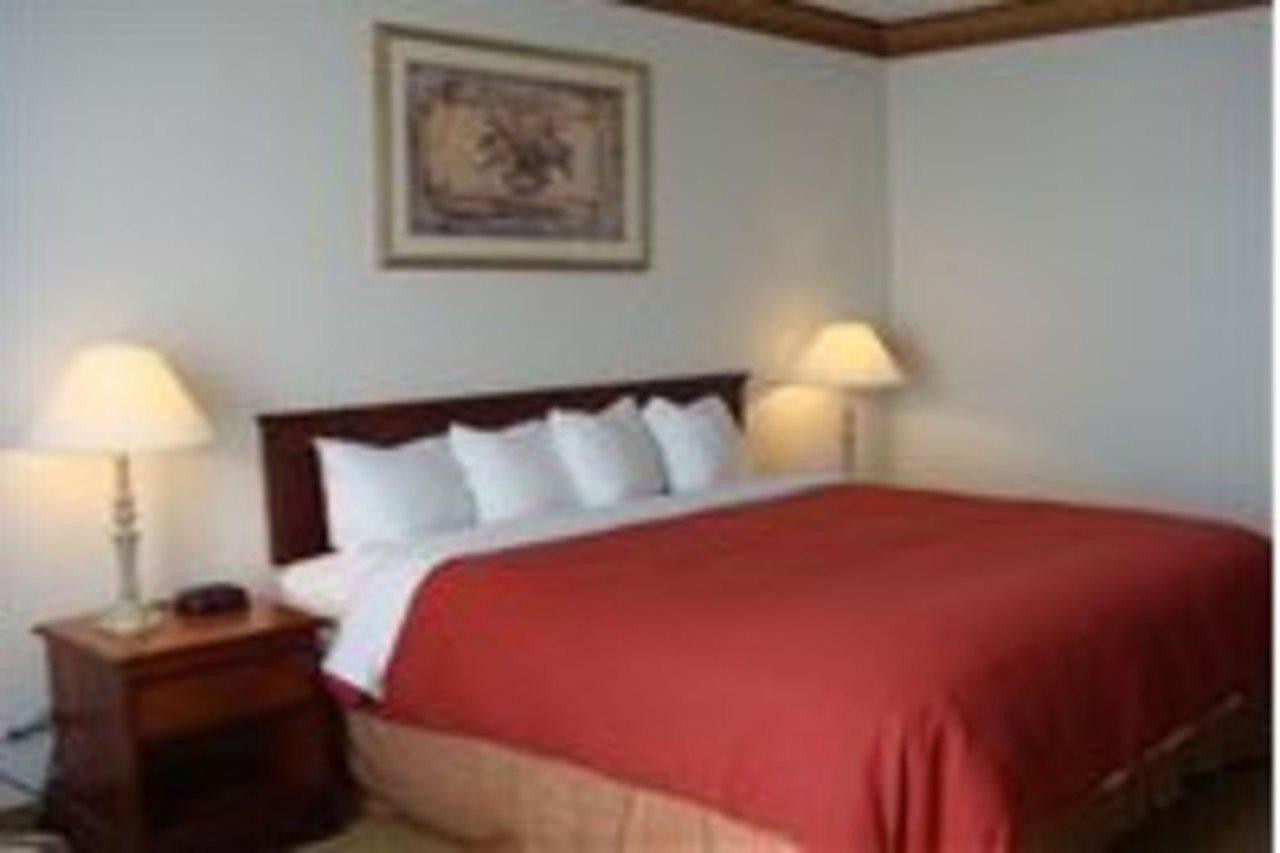Best Western Plus Hobby Airport Inn And Suites Houston Værelse billede